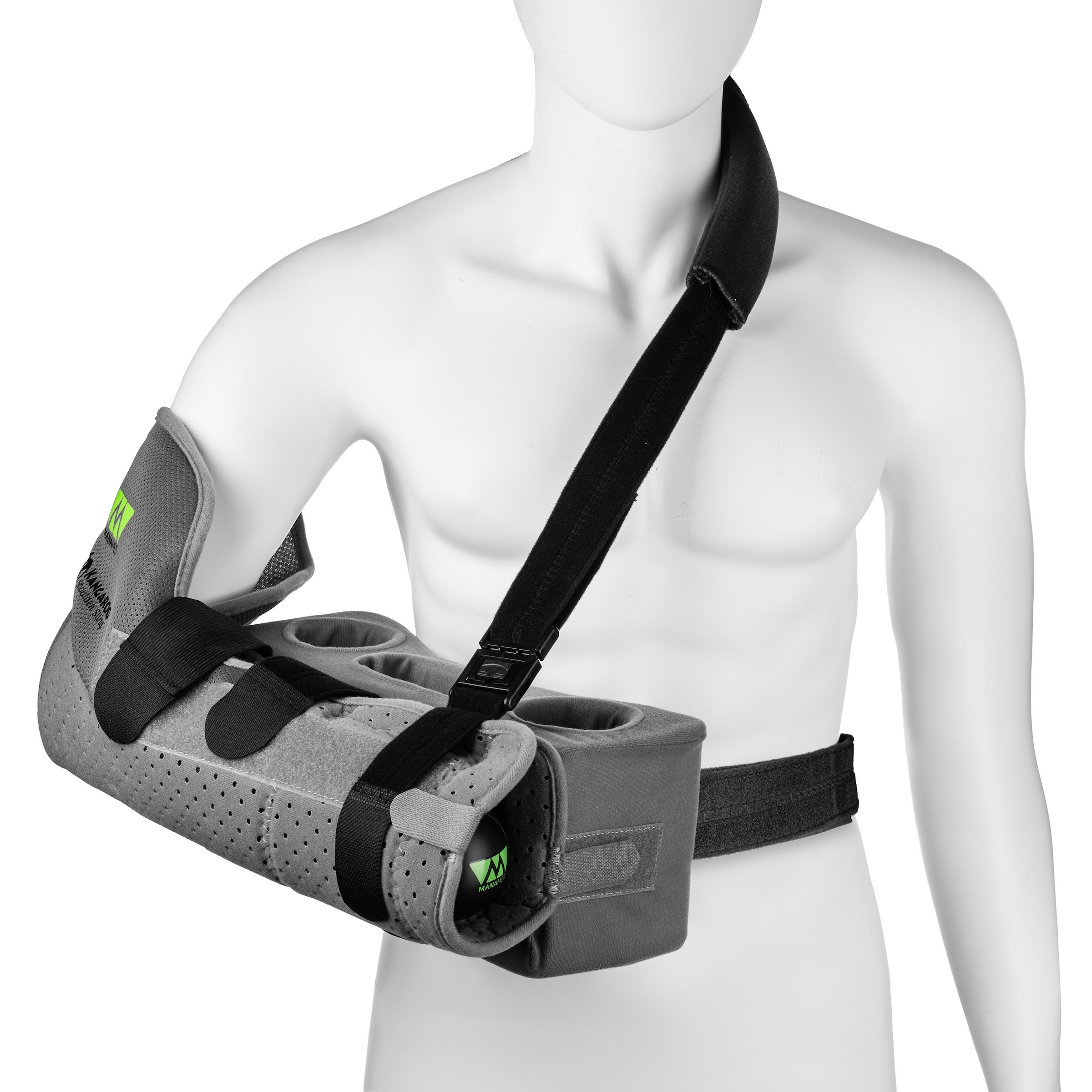 thumbnail of Kangaroo 3960